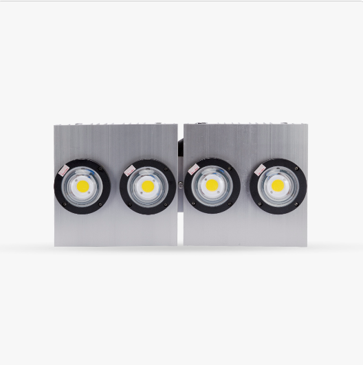 Đèn LED Đánh cá DC05 500W SPD